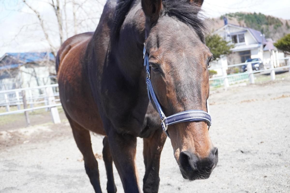 f722294258d1b035ffbfecb5b02eca26-1776204589.jpg f722294258d1b035ffbfecb5b02eca26-1776204589.jpg